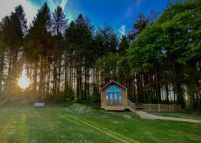 Cabin In The Woods - 1 Bedroom Lodge - Kilgetty