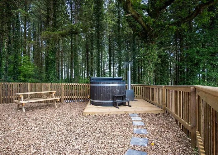 Cabin In The Woods - 1 Bedroom Lodge - Kilgetty