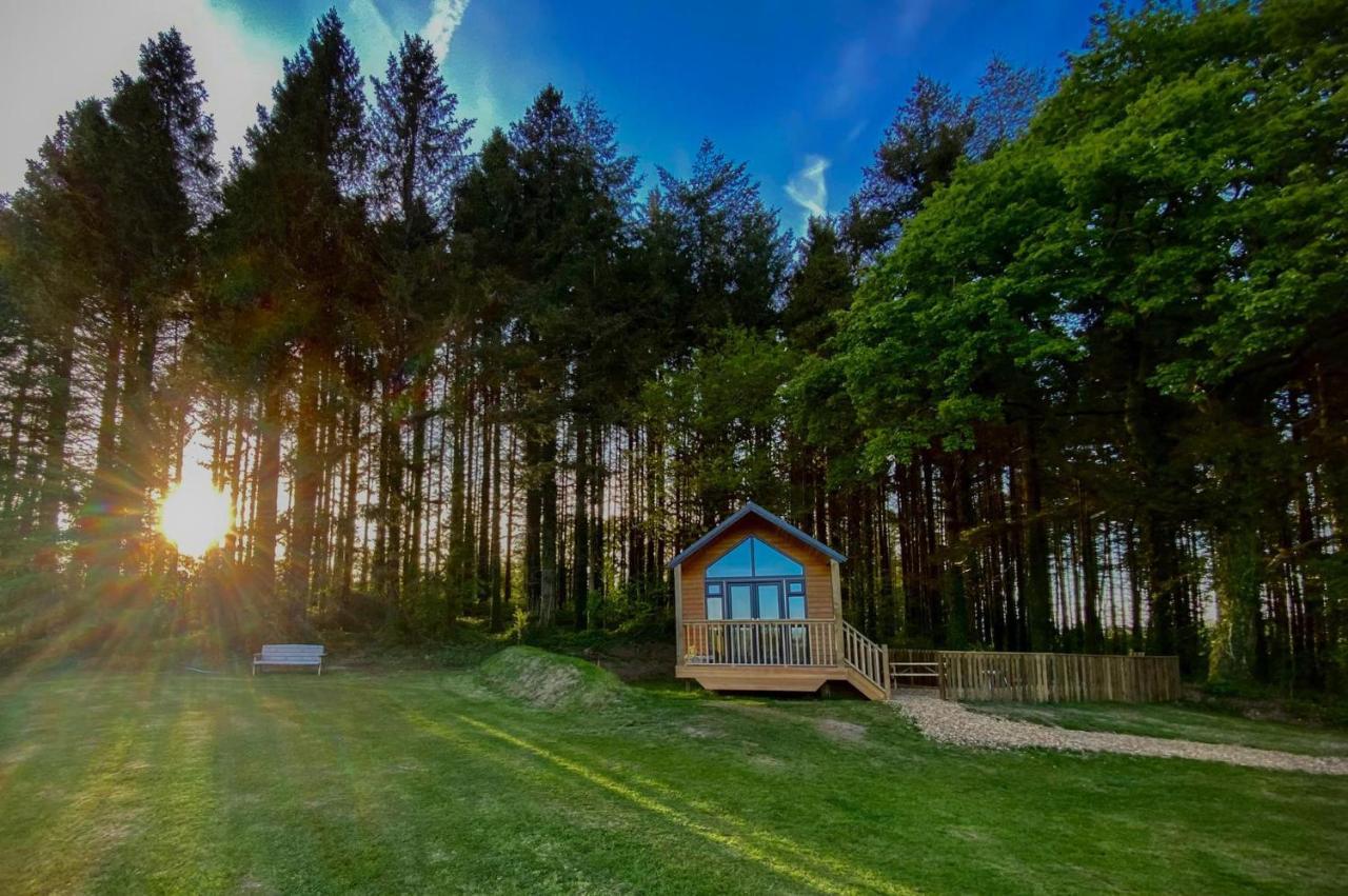 In The Woods - 1 Bedroom - Kilgetty Stepaside (Pembrokeshire)