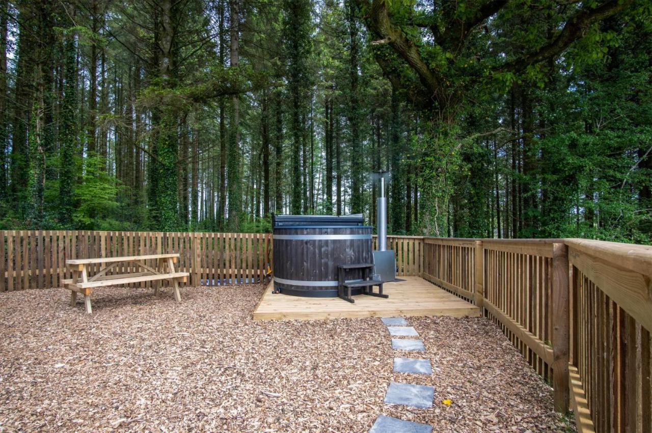In The Woods - 1 Bedroom - Kilgetty Stepaside (Pembrokeshire)