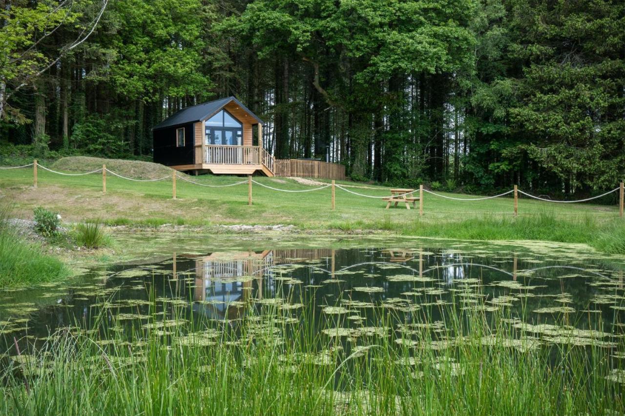In The Woods - 1 Bedroom - Kilgetty