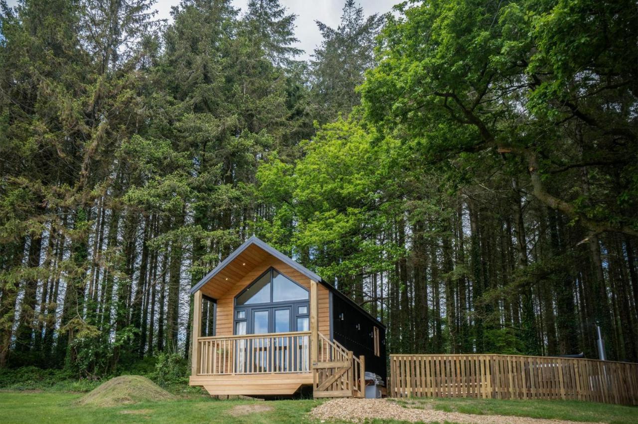 In The Woods - 1 Bedroom - Kilgetty Apartment Stepaside (Pembrokeshire)