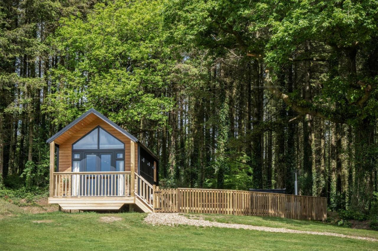 In The Woods - 1 Bedroom - Kilgetty Apartment *