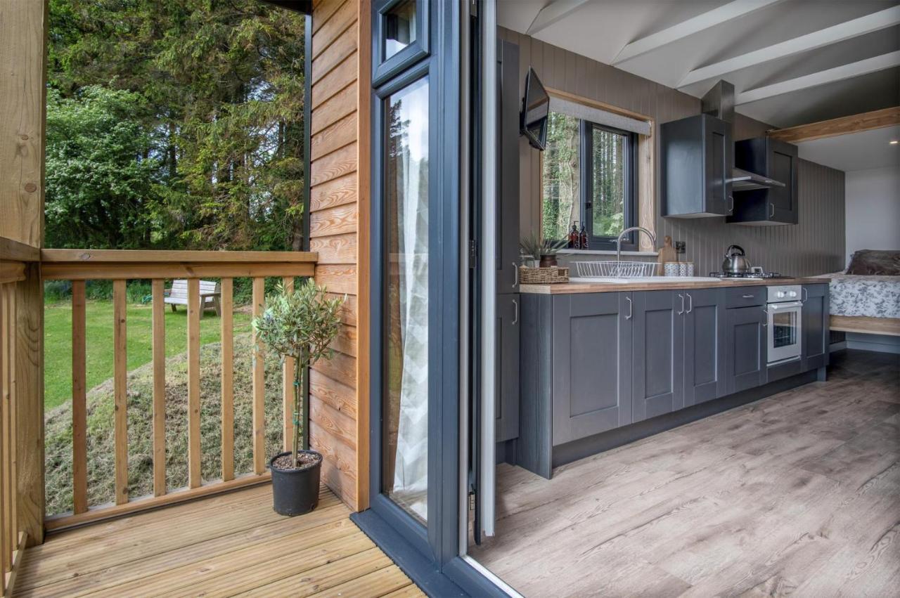 In The Woods - 1 Bedroom - Kilgetty Stepaside (Pembrokeshire)