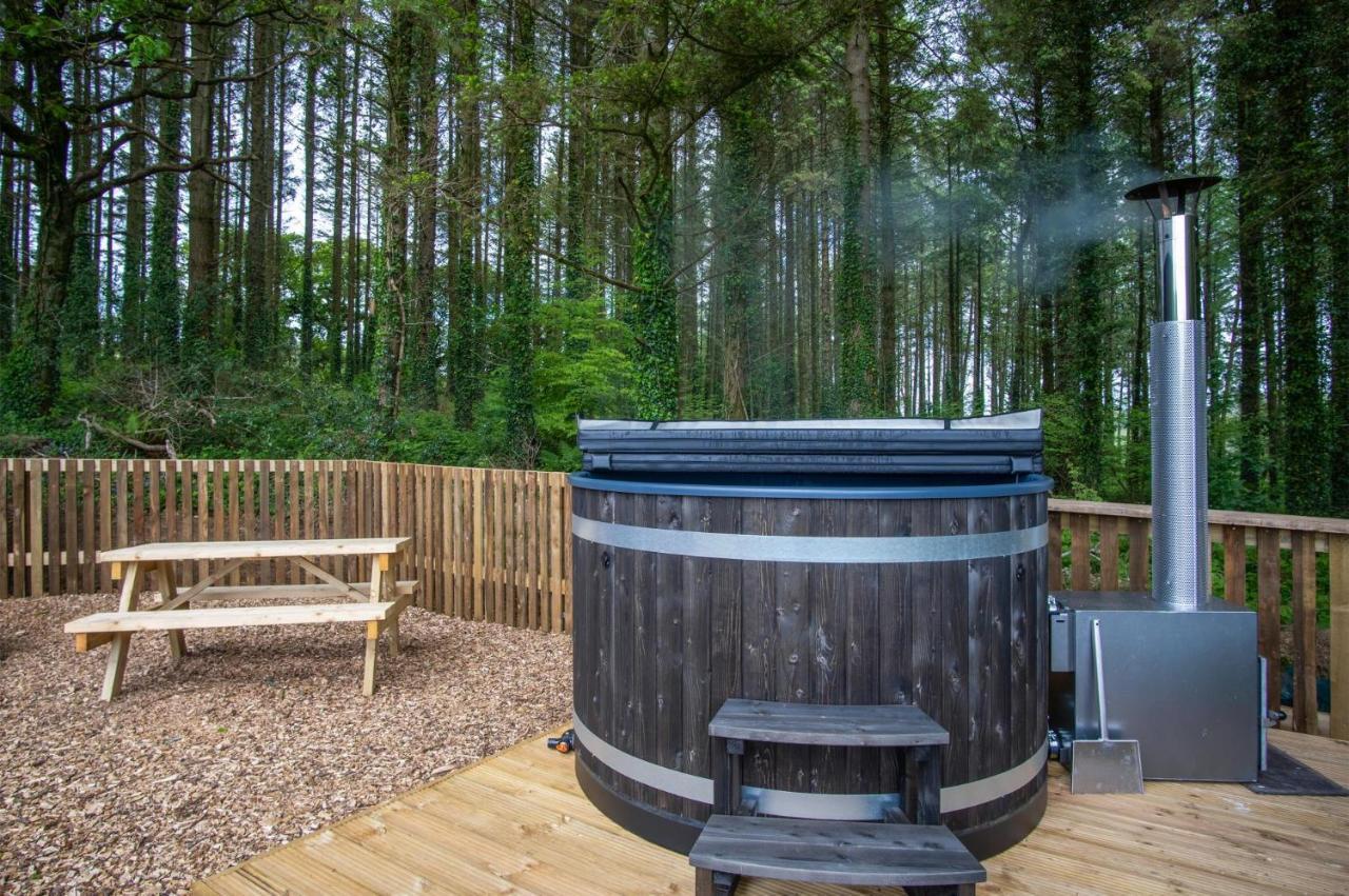 Apartment In The Woods - 1 Bedroom - Kilgetty Stepaside (Pembrokeshire)